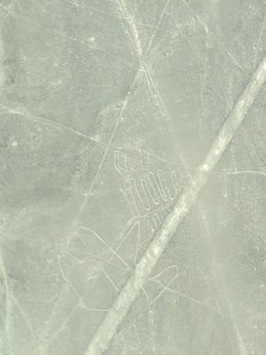 ナスカの地上絵の遊覧飛行！
左右のシートどちらの客も見やすいように、絵の上...