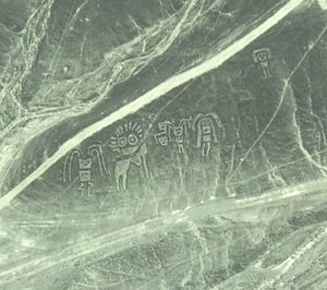 ナスカの地上絵の遊覧飛行！
左右のシートどちらの客も見やすいように、絵の上...