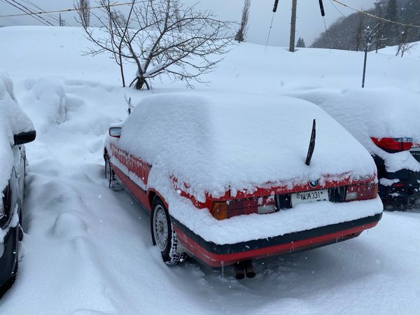 日本・群馬県「SKI 水上宝台樹 1泊」の写真：たんまり降ってくれました