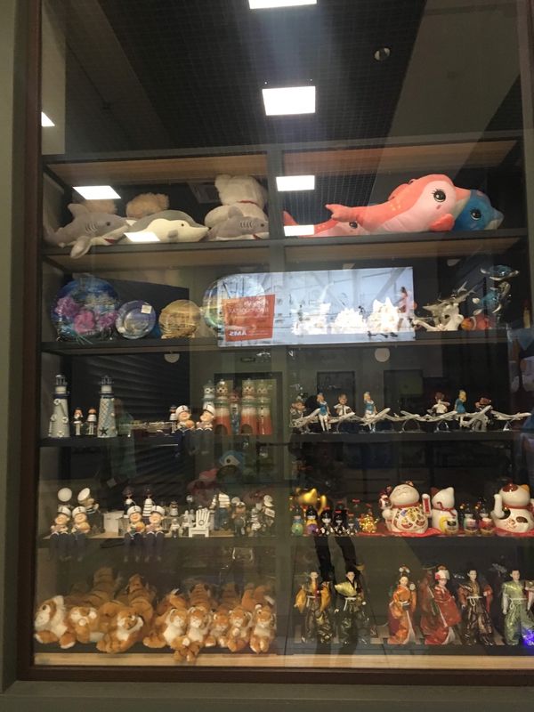 ロシア連邦・イルクーツク「イルクーツクで凍った」の写真：ウラジオストク経由でイルクーツク へ！
...