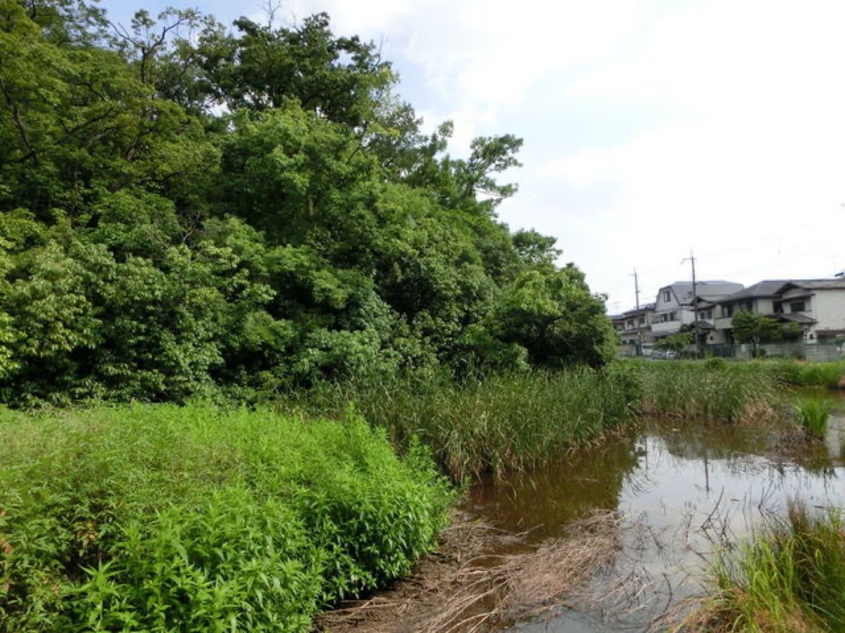1枚目は白鳥陵古墳(前の山古墳)、2枚目は峯ヶ塚古墳、3枚目は青山古墳、4...