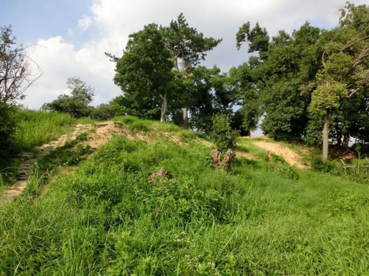 1枚目は仲哀天皇陵(岡ミサンザイ)古墳、2枚目は仲哀天皇陵(岡ミサンザイ)...