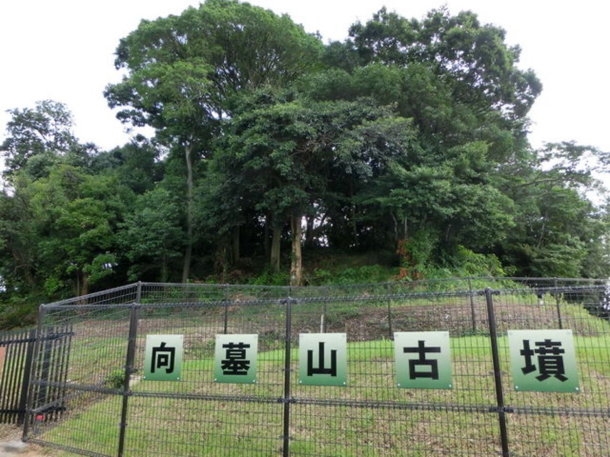 1枚目は墓山古墳、2枚目は野中古墳、3枚目は向墓山古墳、4枚目は西馬塚古墳です📷