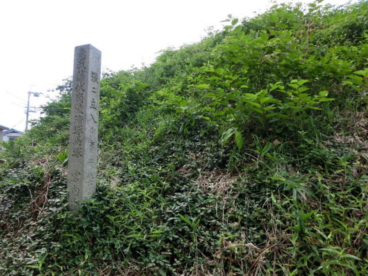 1枚目は墓山古墳、2枚目は野中古墳、3枚目は向墓山古墳、4枚目は西馬塚古墳です📷