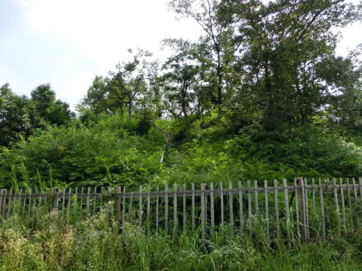 1枚目は白鳥陵古墳(前の山古墳)、2枚目は峯ヶ塚古墳、3枚目は青山古墳、4...