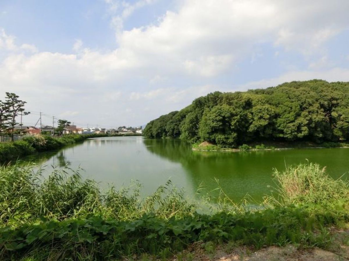 1枚目は仲哀天皇陵(岡ミサンザイ)古墳、2枚目は仲哀天皇陵(岡ミサンザイ)...