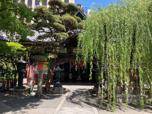 日本・京都「ぶらぶら京都」の写真