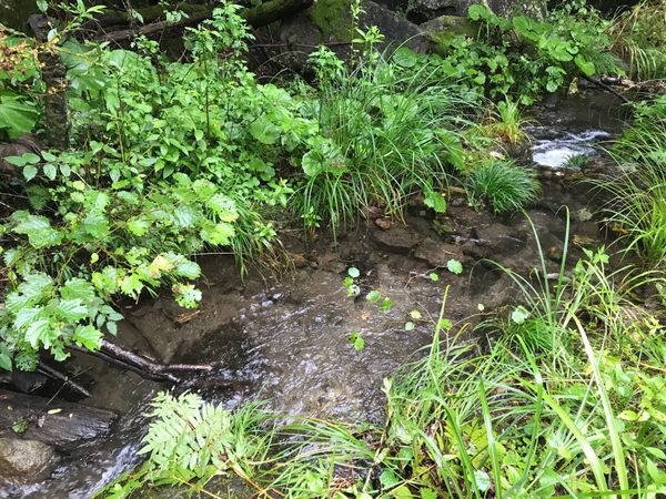 日本・福島県「仕事で」の写真