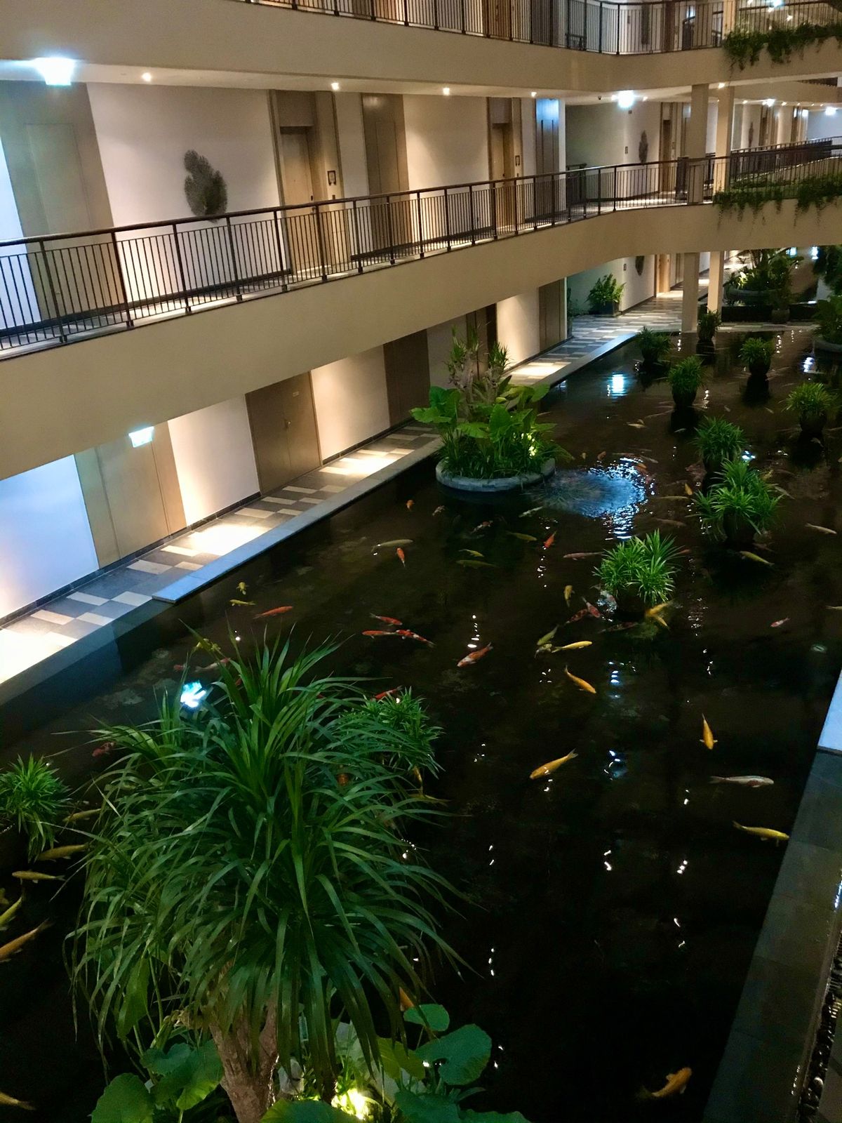 インターコンチネンタルフーコックのディナー
宿泊料金に込みの3品コースは、...