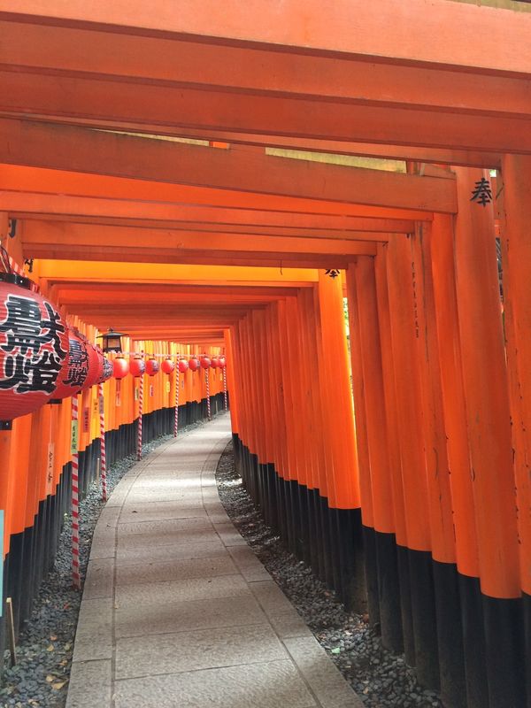 日本・京都府「京都寺社(御朱印)めぐり」の写真