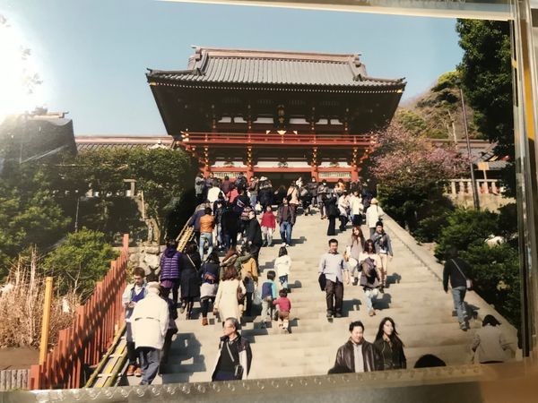 日本・神奈川県「いざ鎌倉へ」の写真