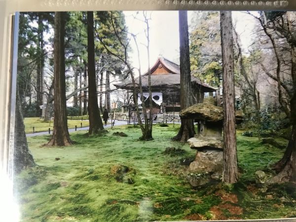 日本・京都府「そうだ京都へ行こう」の写真