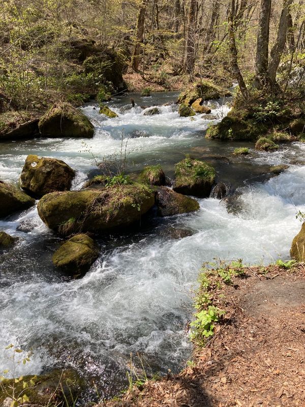日本・青森県「GW青森の旅」の写真