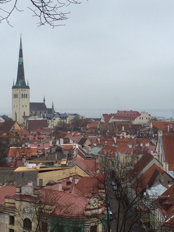 エストニア「バルト３国」の写真