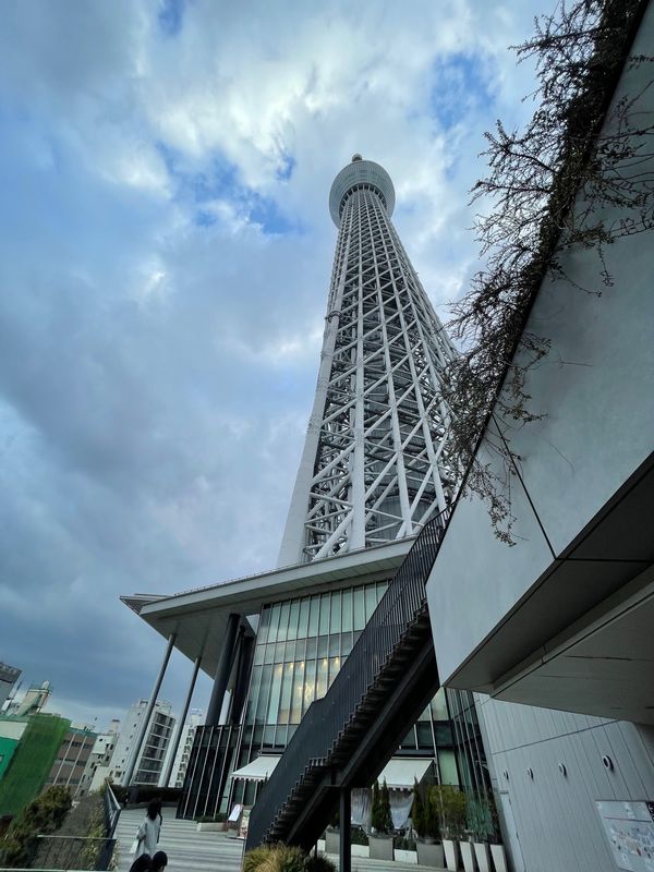 日本・神奈川県「横浜界隈」の写真：スカイツリー
エヴァンゲリオンイベント