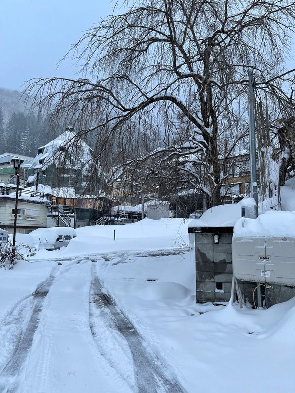 日本・長野県「野沢温泉スキー」の写真