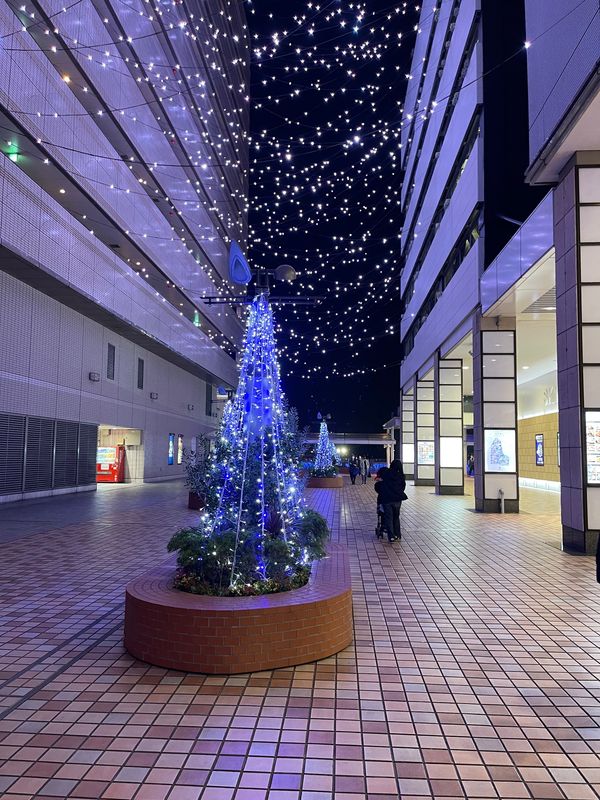 日本・神奈川県「神奈川夫婦旅」の写真：みなとみらいイルミネーション