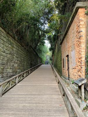 猿島