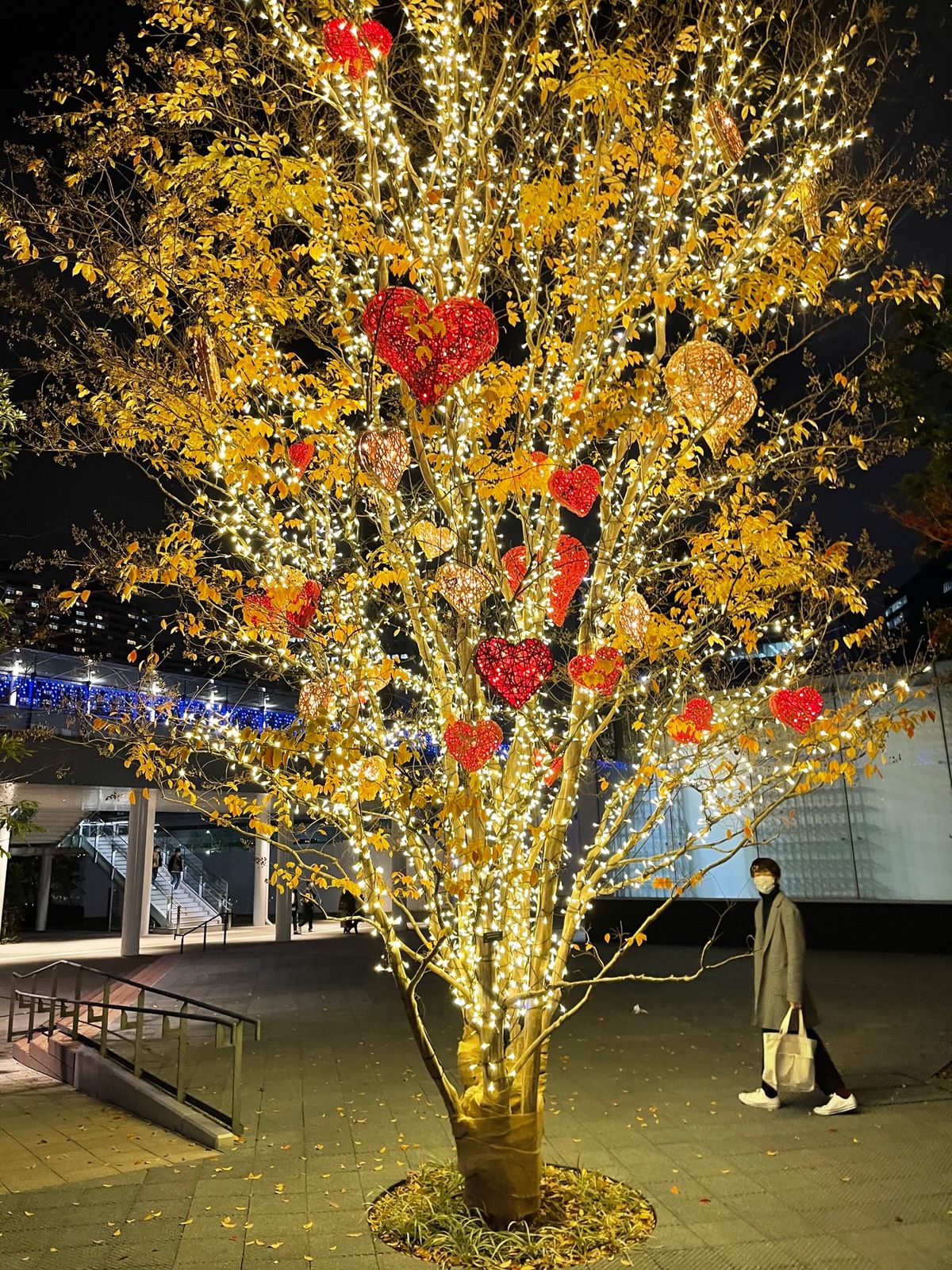 みなとみらいイルミネーション