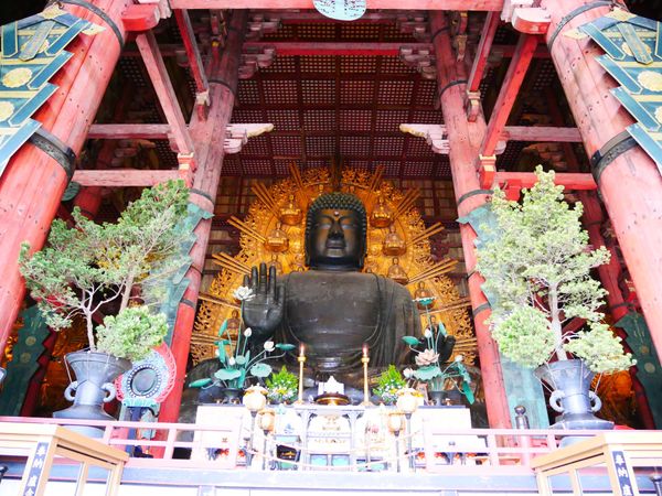 日本「京都･奈良･和歌山」の写真