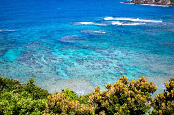 日本・沖縄「慶良間諸島一人旅」の写真
