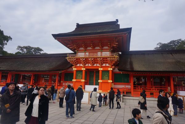 日本・大分県「OSD」の写真