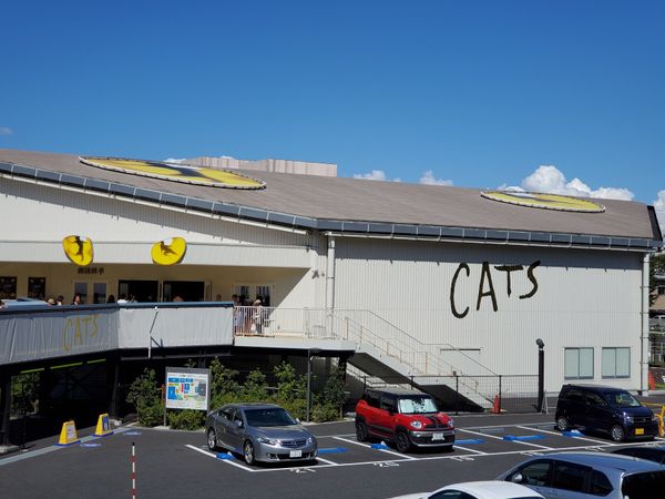 日本・神奈川県「劇団四季CATS鑑賞の旅」の写真