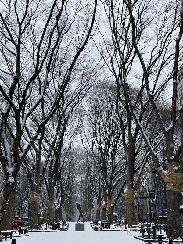 日本・松島「仙台・松島2020.12」の写真