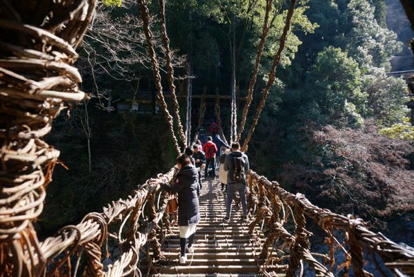 日本・徳島県「四国ぐるり　」の写真