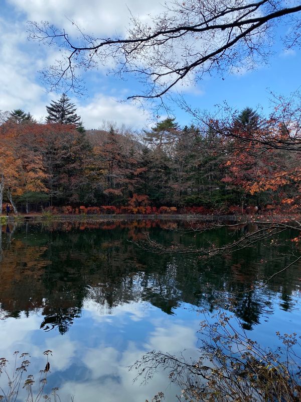 日本・軽井沢「軽井沢2020.11」の写真
