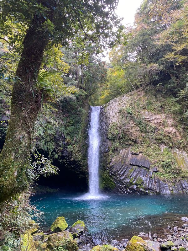 日本・伊豆「伊豆2020.11」の写真