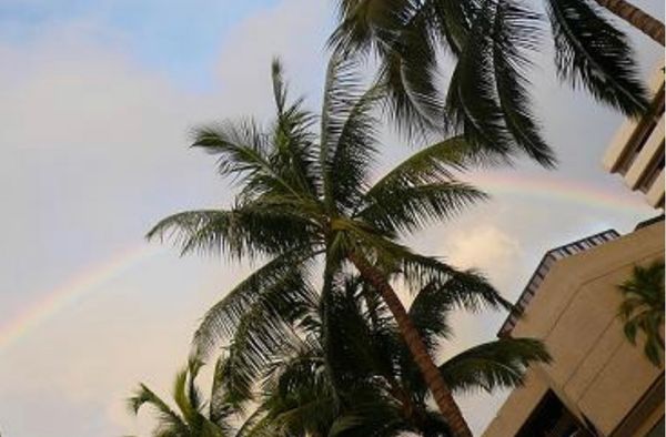 アメリカ(米国)・ハワイ「ハワイ」の写真：★1日目

食べ物のボリュームに毎回驚い...