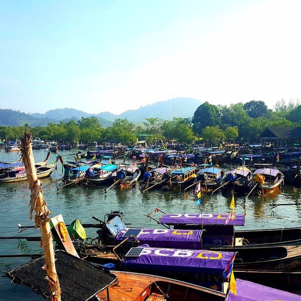 タイ・クラビ「クラビ」の写真