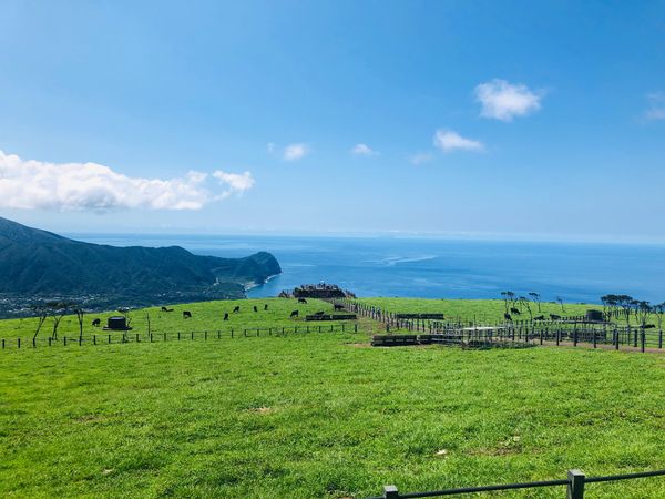 日本・八丈島「八丈島」の写真