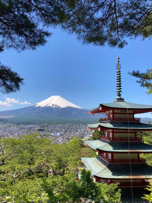 日本・忍野八海と浅間神社「GW 富士山」の写真