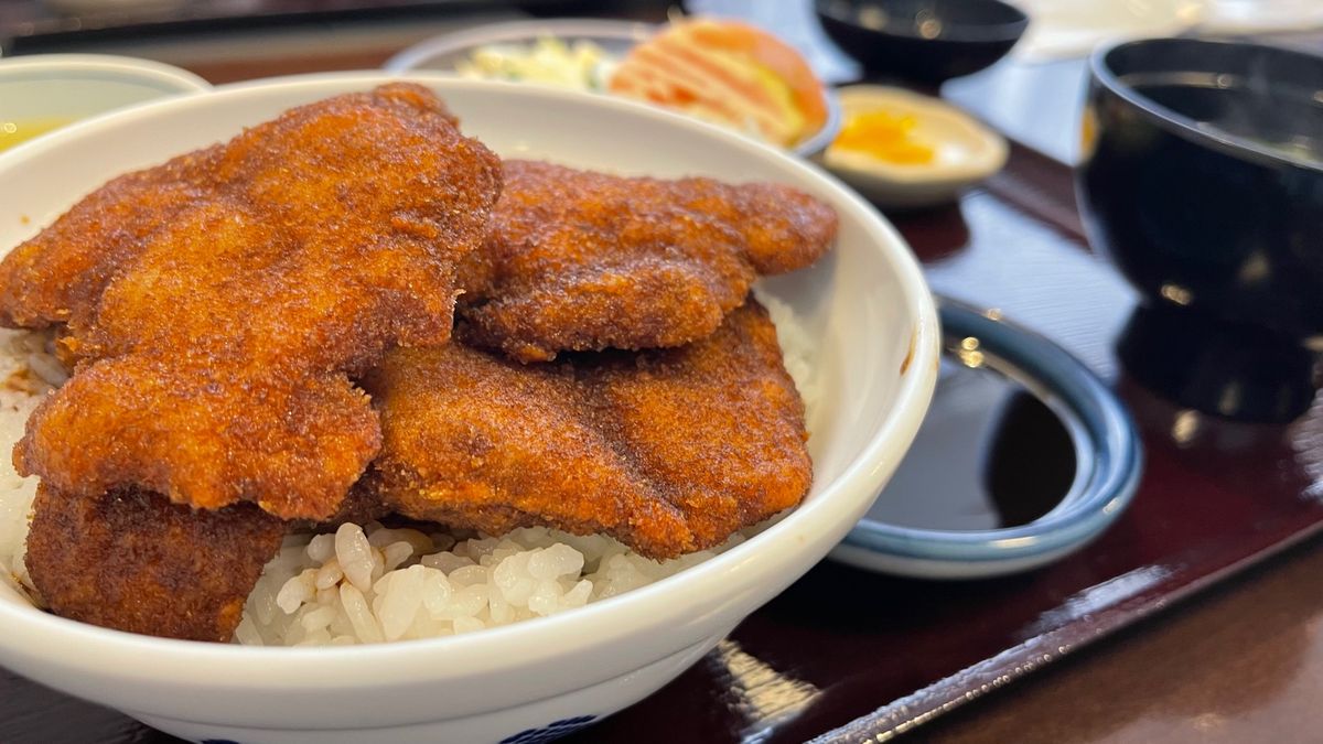 恐竜博物館を満喫した次の日は、恐竜博物館は休館だったため、2日連続の恐竜ツ...