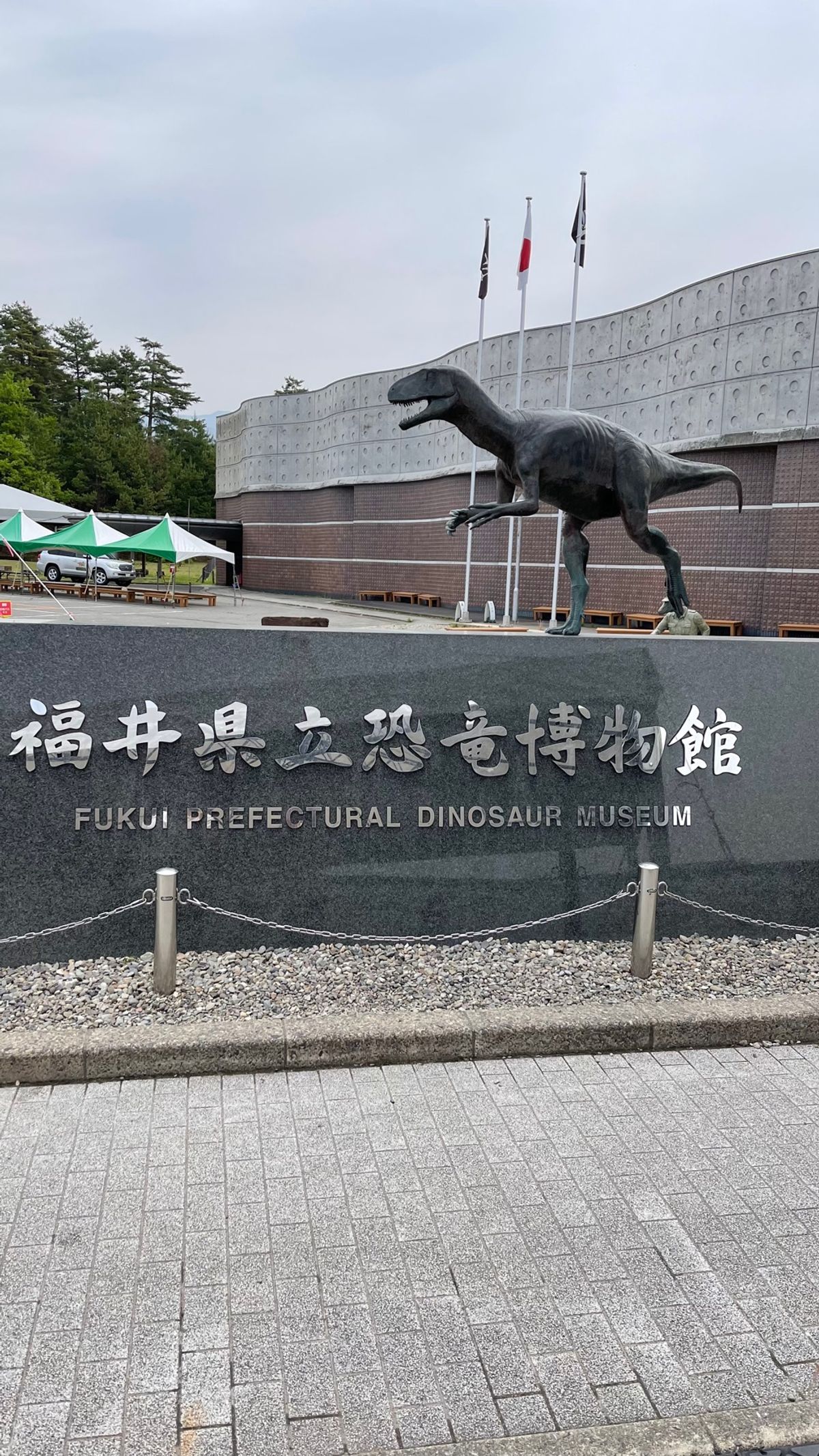 国立科学博物館の恐竜は動かないから行かない（行ったことない）と言っていたの...