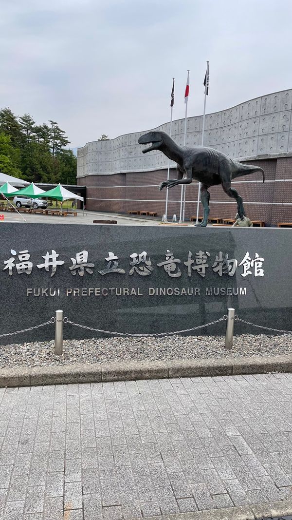 日本・福井県「福井県恐竜旅行」の写真：国立科学博物館の恐竜は動かないから行かな...