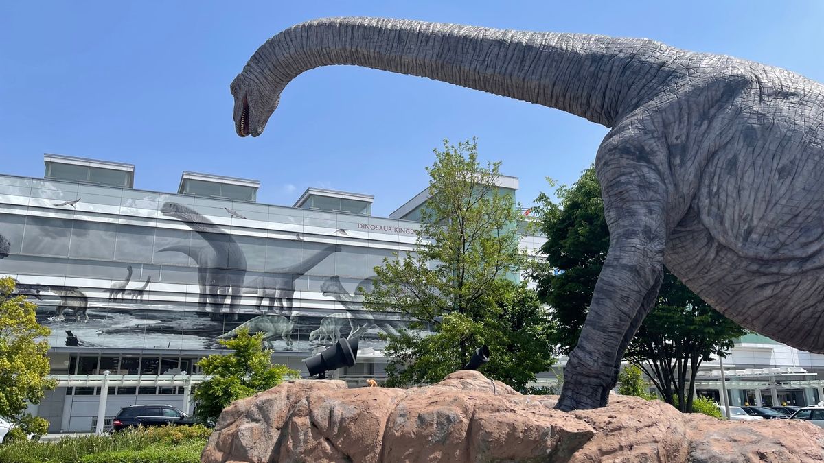 恐竜博物館を満喫した次の日は、恐竜博物館は休館だったため、2日連続の恐竜ツ...