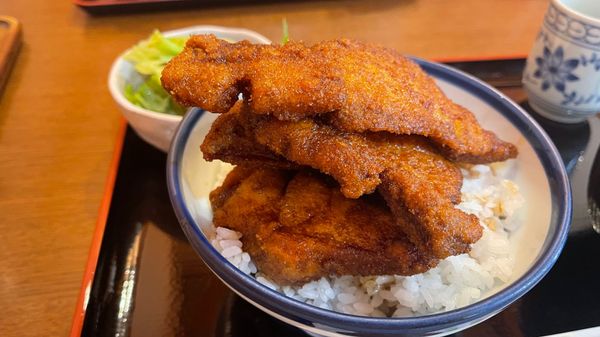 日本・福井県「福井県恐竜旅行」の写真：グリル やまだのソースカツ丼。
福井県は...