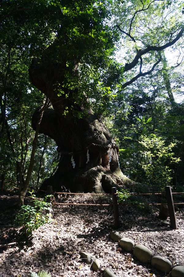 日本・愛知県「熱田神宮」の写真