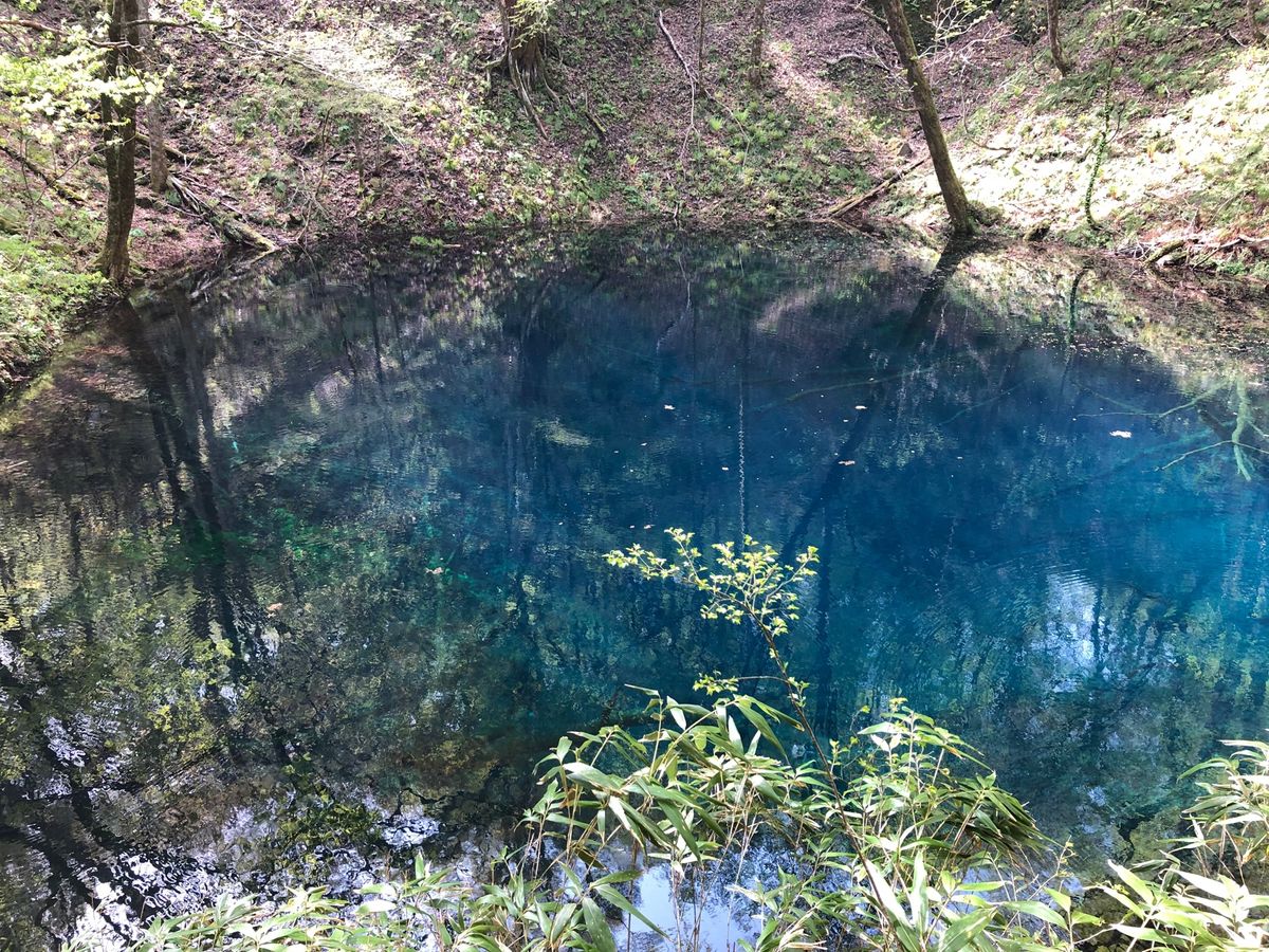 白神山地の青い池へ
青森県まで足を伸ばしました🚗