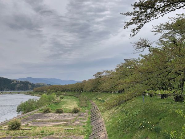 日本・田沢湖「21年5月　秋田県の旅」の写真：角館へ
今年は桜が早かったようで、すでに...