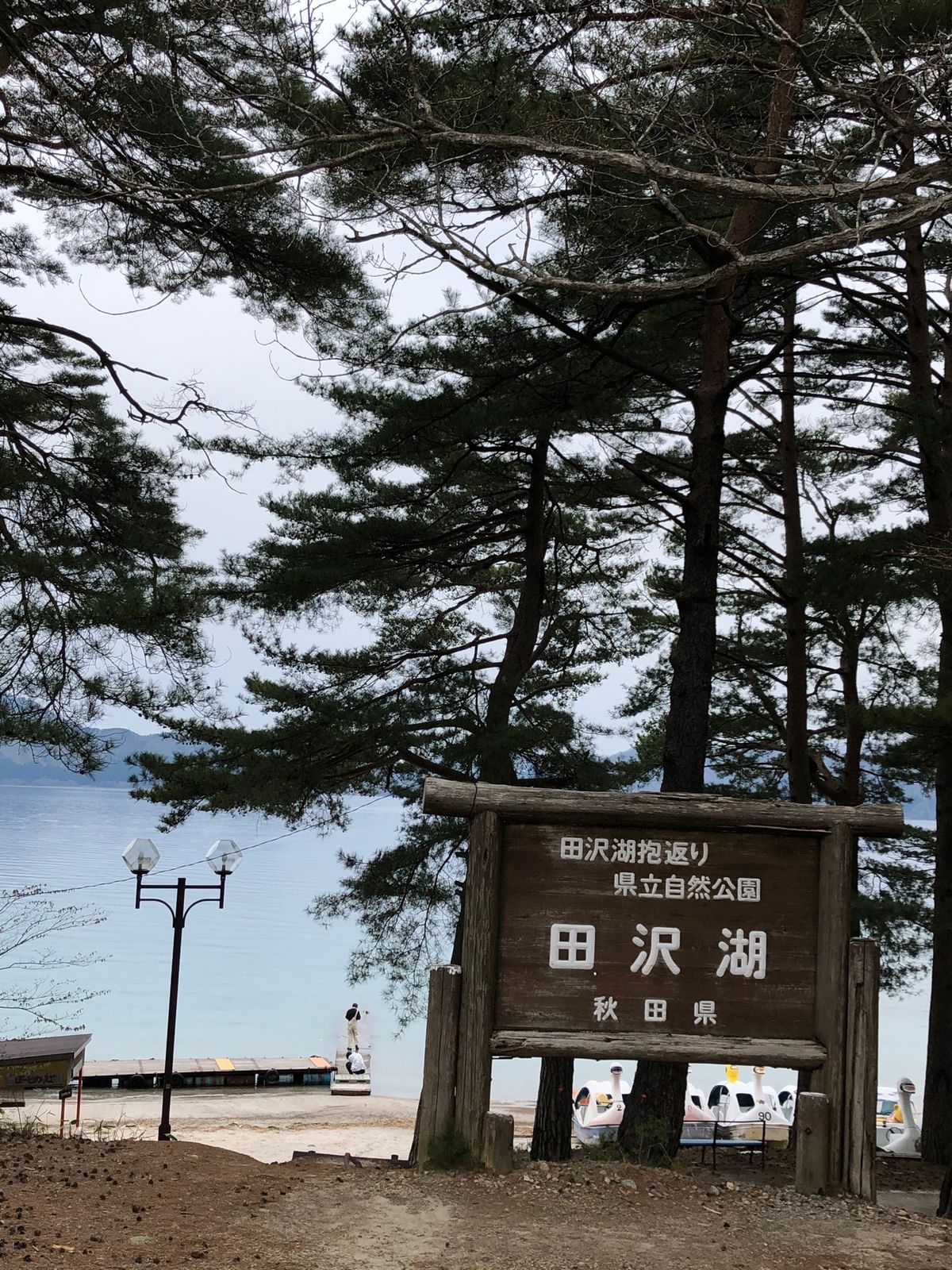 田沢湖たつこ像