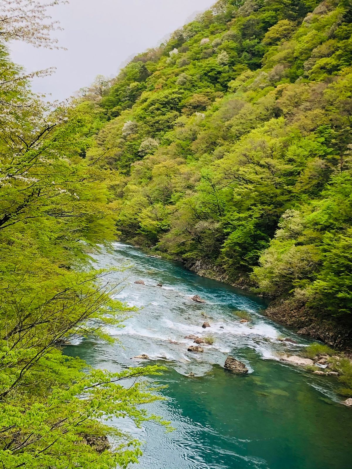 抱返り渓谷へ
駐車場から約20分渓谷沿いを歩いて回顧の滝までハイキング