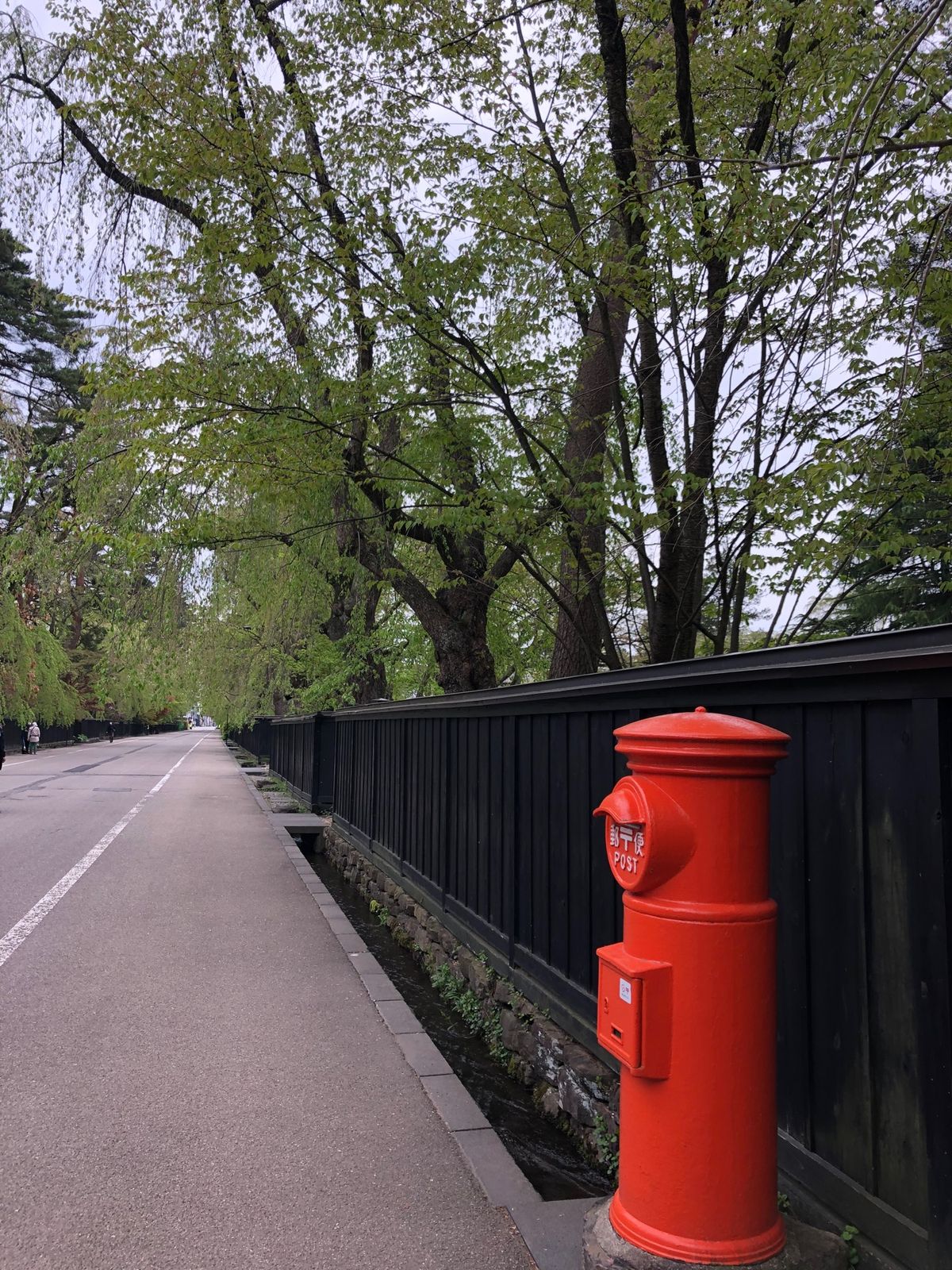 角館へ
今年は桜が早かったようで、すでに葉桜🌸
桜の季節に行ってみたいなぁ。