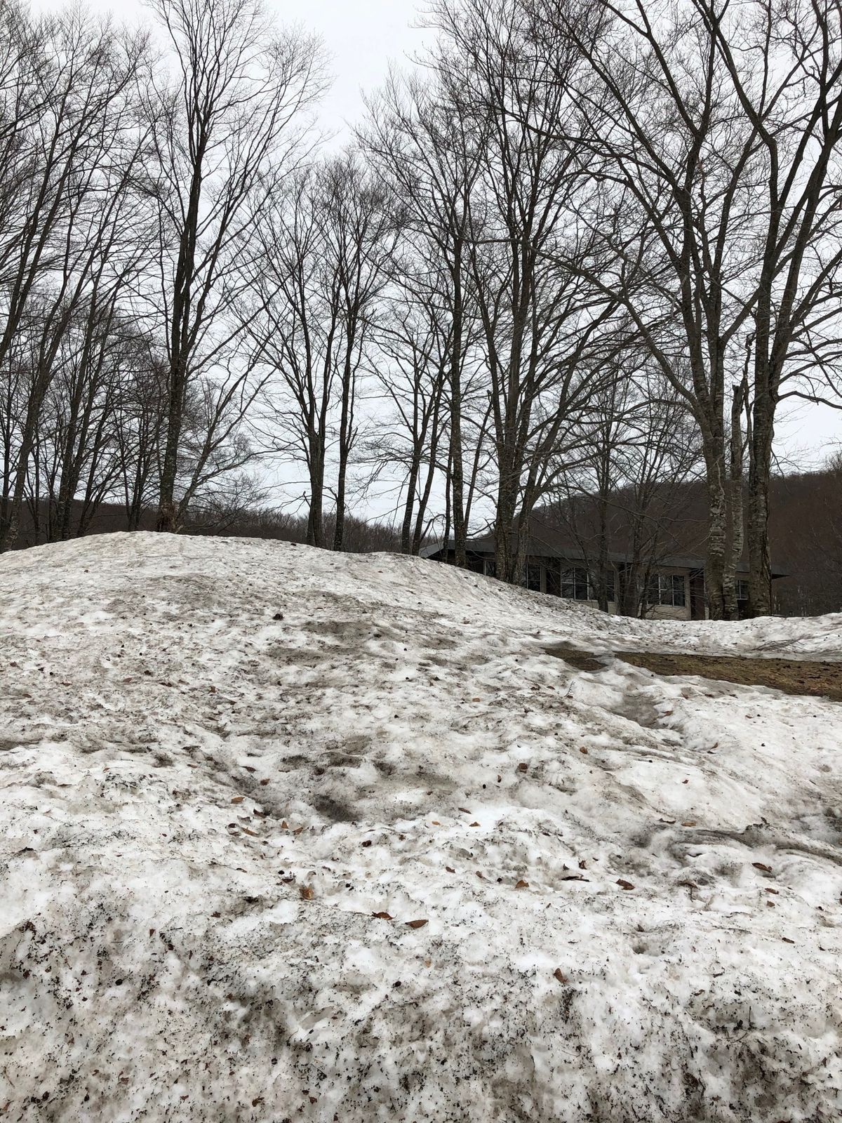 乳頭温泉郷まで
まだ雪が残っててびっくり