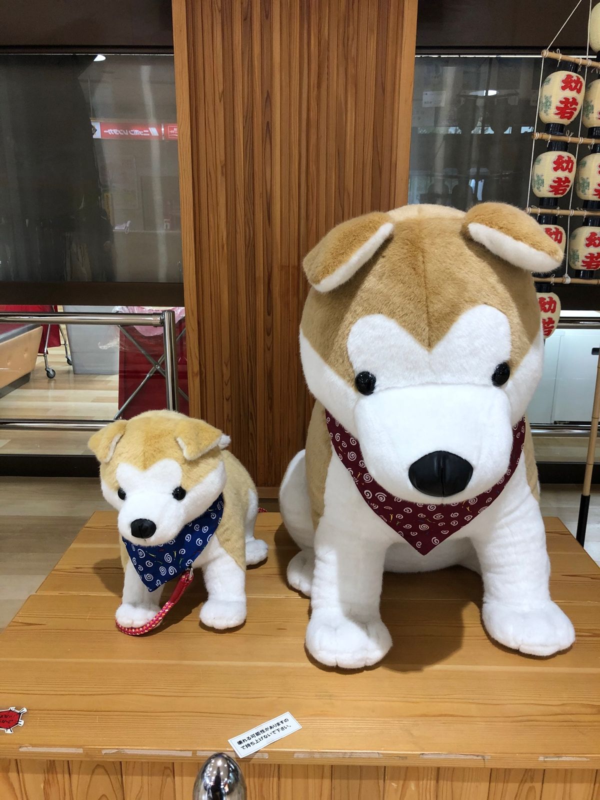 秋田空港から帰路に
夕日がきれい🌇