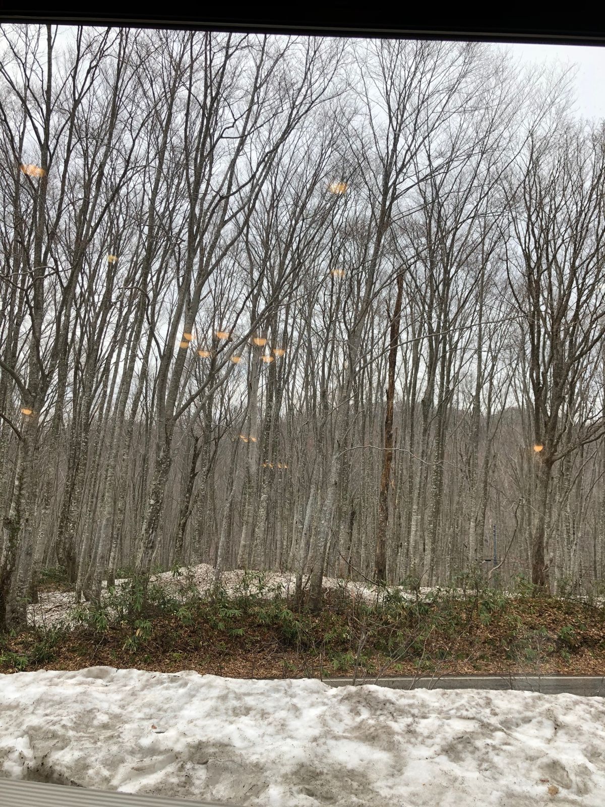 乳頭温泉郷まで
まだ雪が残っててびっくり