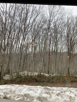 乳頭温泉郷まで
まだ雪が残っててびっくり